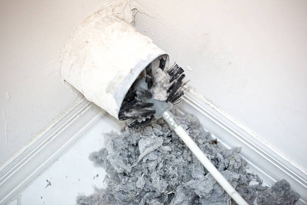 Best Air Vent Cleaning Services  in Chauvin, LA